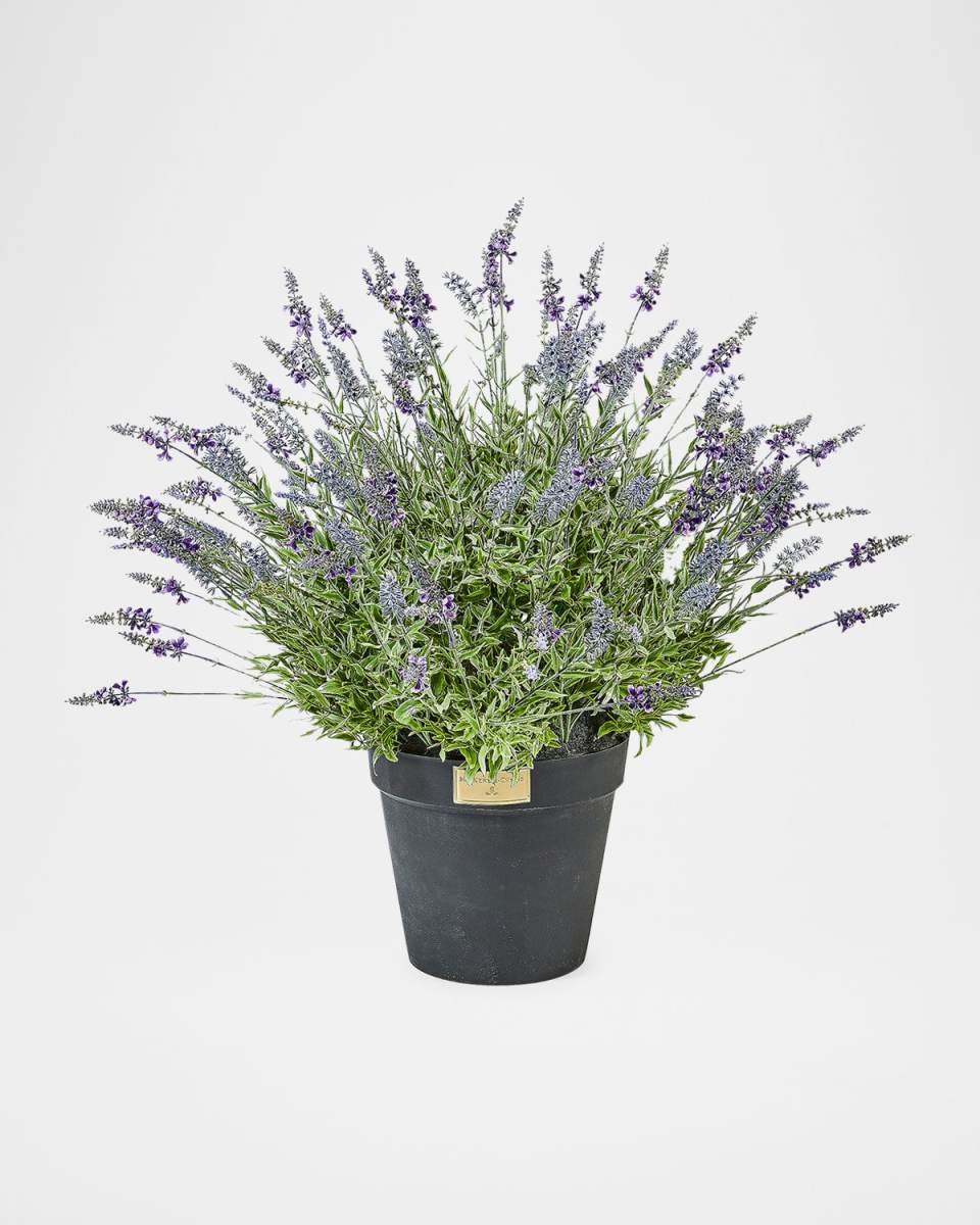 Lavender Urn Filler